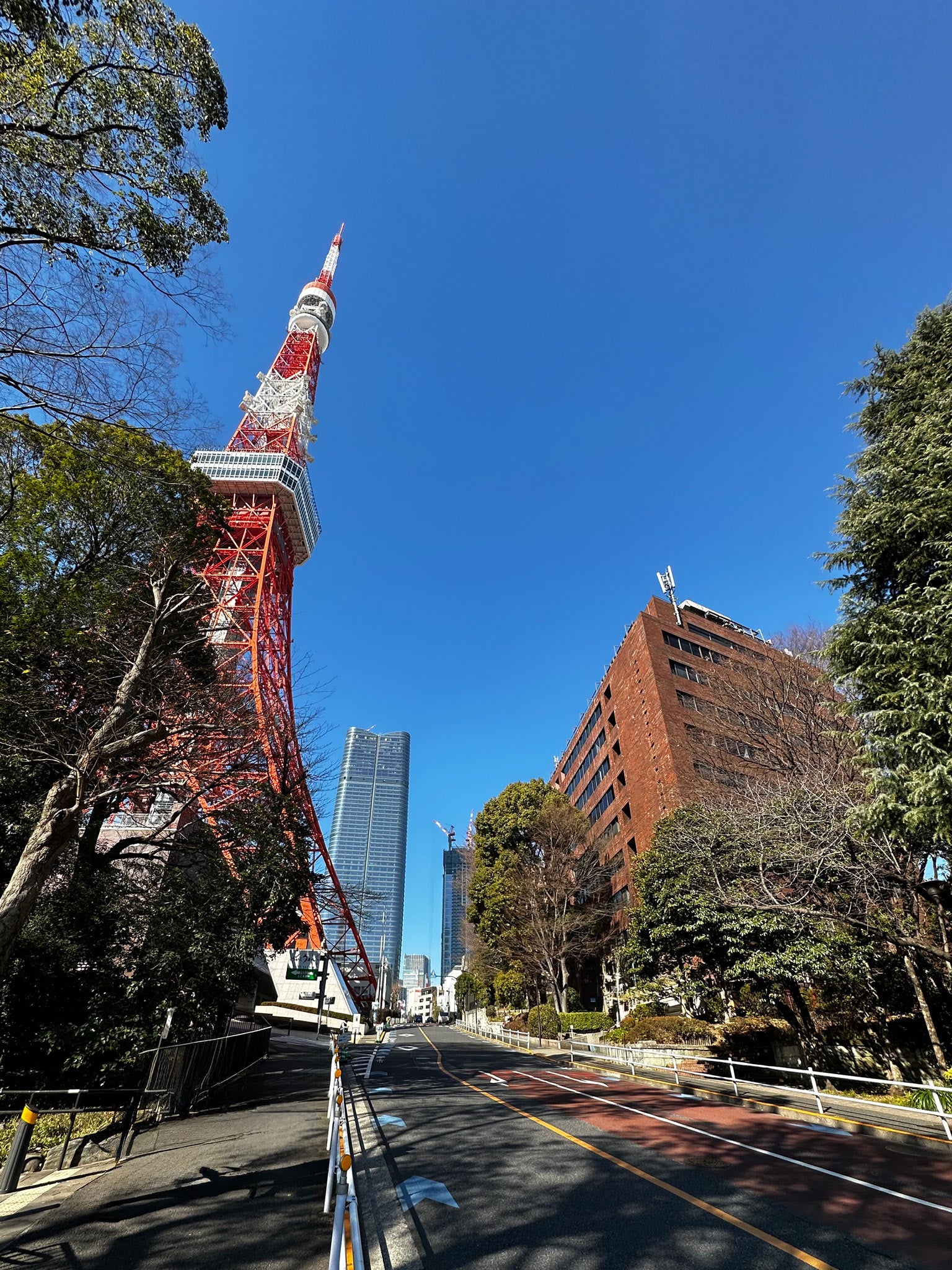 東京タワーの目の前のオフィス|Work in the forest