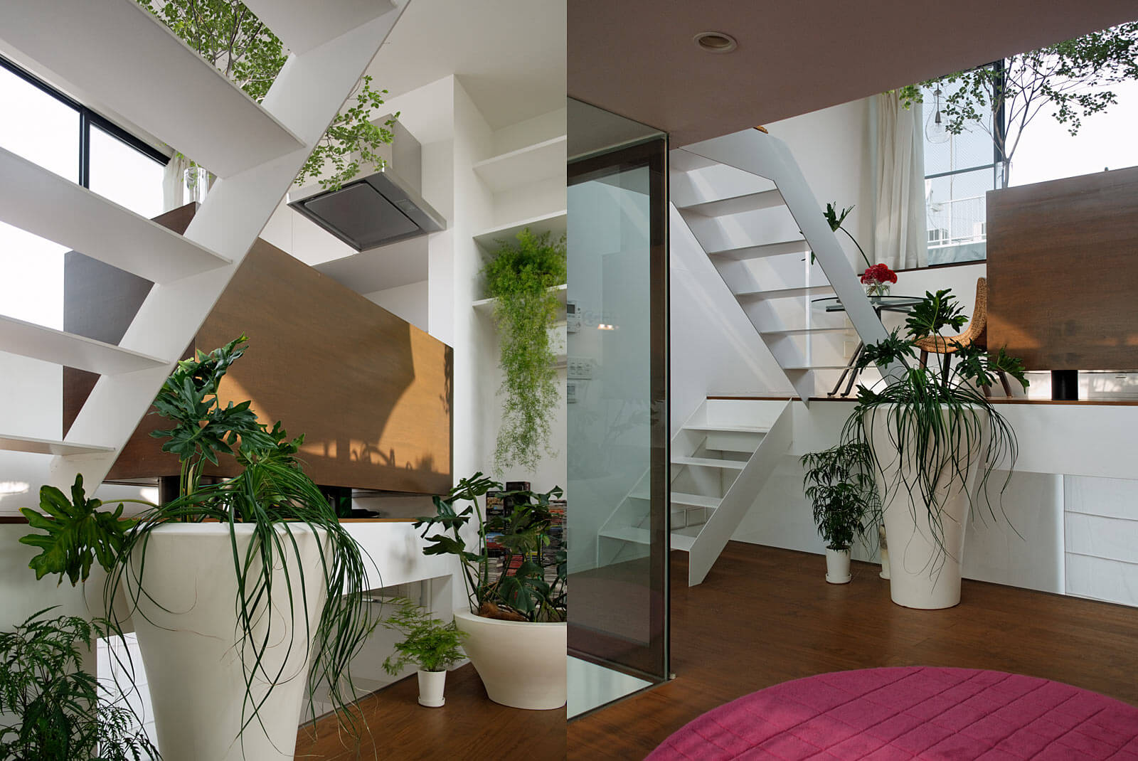 段差を活用した植物あふれる住宅｜Steps III